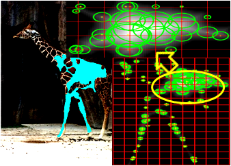 Sampling elements