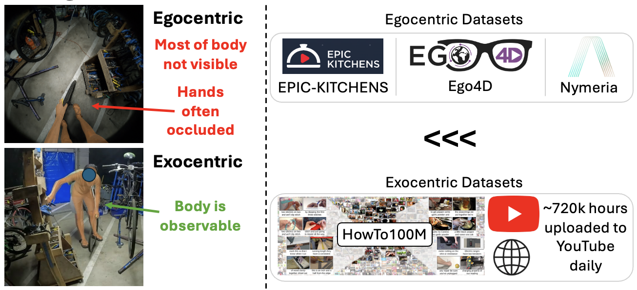 Limitations of egocentric video for human world models